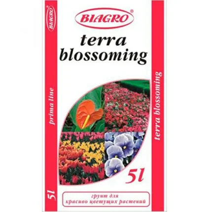Terra blossoming