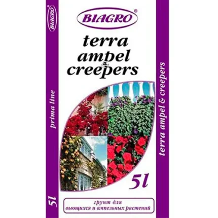 Terra ampel creepers