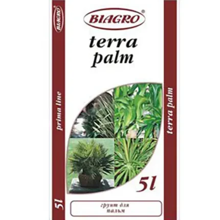 Terra palm
