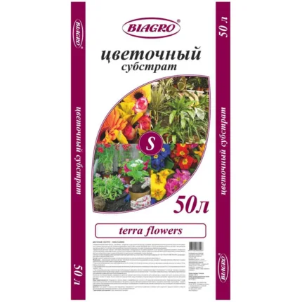 Terra Flowers