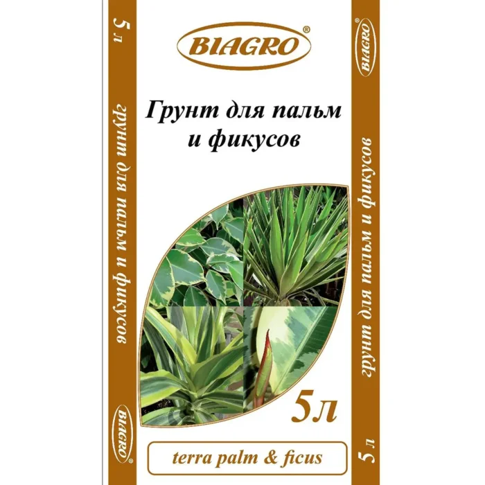 Terra Palm & Ficus — изображение 1