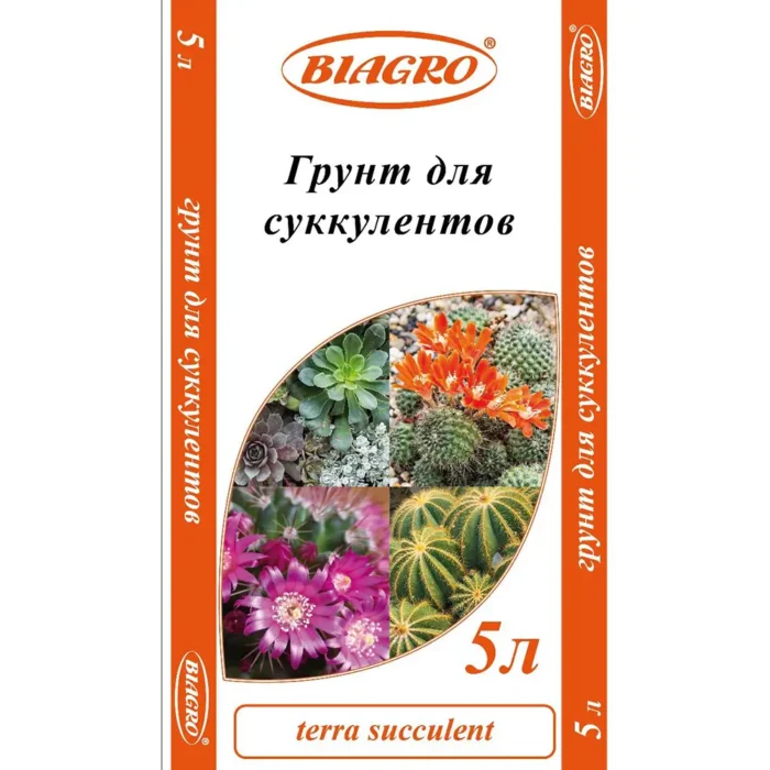Terra succulent — изображение 1